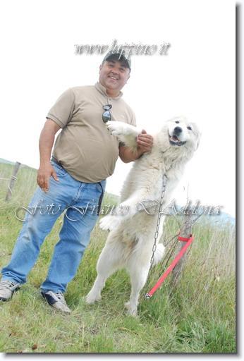 Sei già all'ultima foto